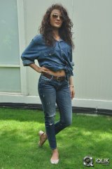 Seerat Kapoor at Run Raja Run Press Meet